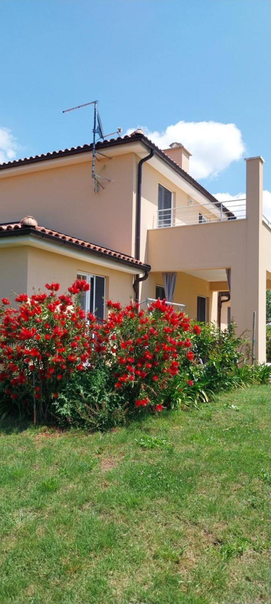 Vila Dubravka - Schoen Und Komfortabel Inmitten Von Olivenbaeumen Und Weinbergen Mit Whirlpool Valtura Ngoại thất bức ảnh